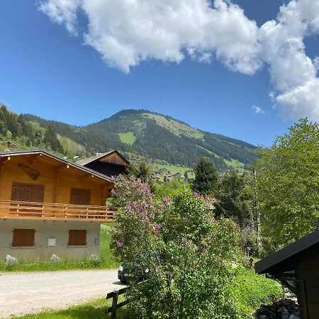 Confortable 5 A Avec Wifi - Fr-1-693-1 * Chatel