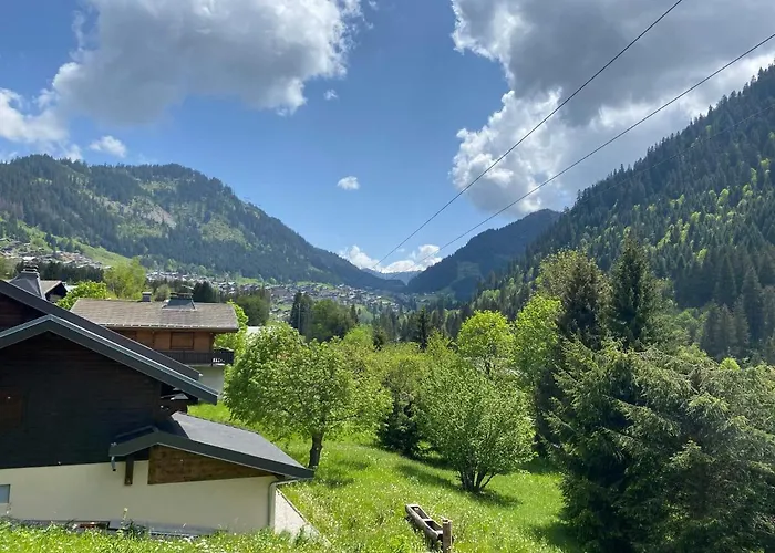 Confortable 5 A Avec Wifi - Fr-1-693-1 Chalet