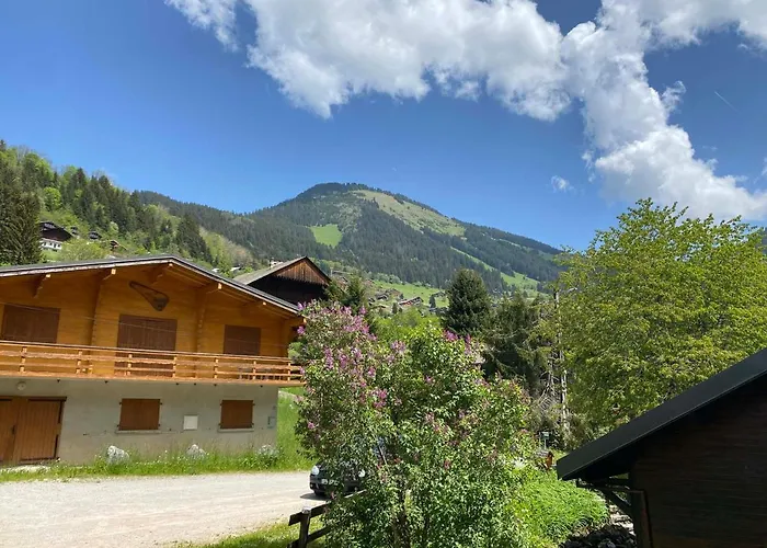 Confortable 5 A Avec Wifi - Fr-1-693-1 * Chatel